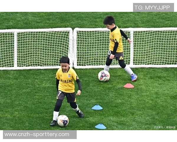 足球被誉为世界第一运动的魅力与影响力解析